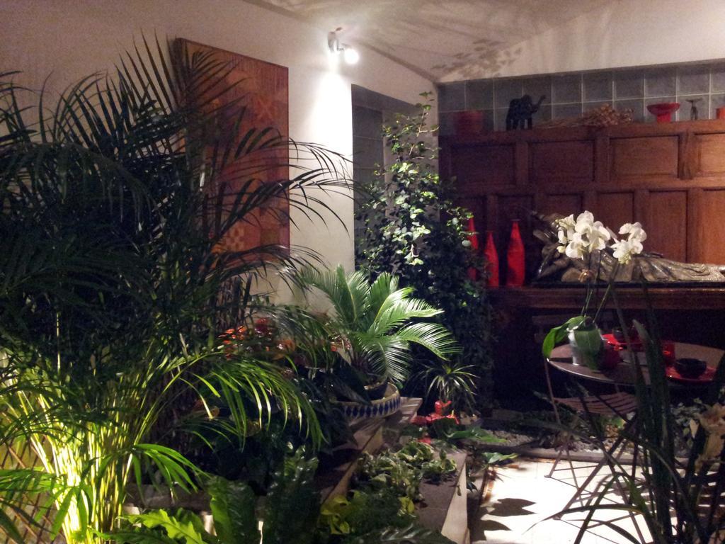 Chambres D'Hotes Le Petit Siam : Le Calme En Centre Ville 克莱蒙费朗 外观 照片